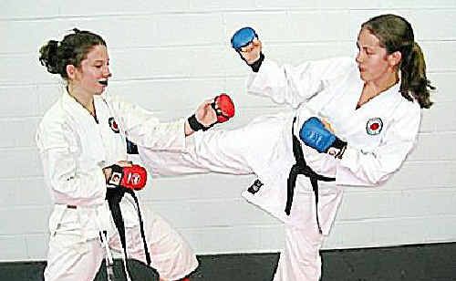 Karate students work on improving their self defence skills at the seminar. Karate students work on improving their self defence skills at the seminar.